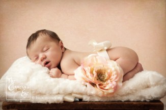 Newborn Photography The Camera's Eye