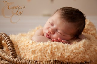 The Camera's EYe, Newborns