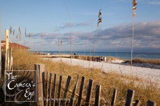 Weddings, The Camera's Eye 012