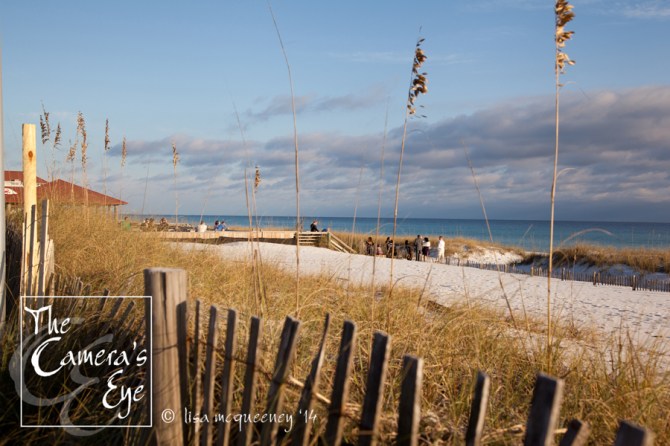 Weddings, The Camera's Eye 012