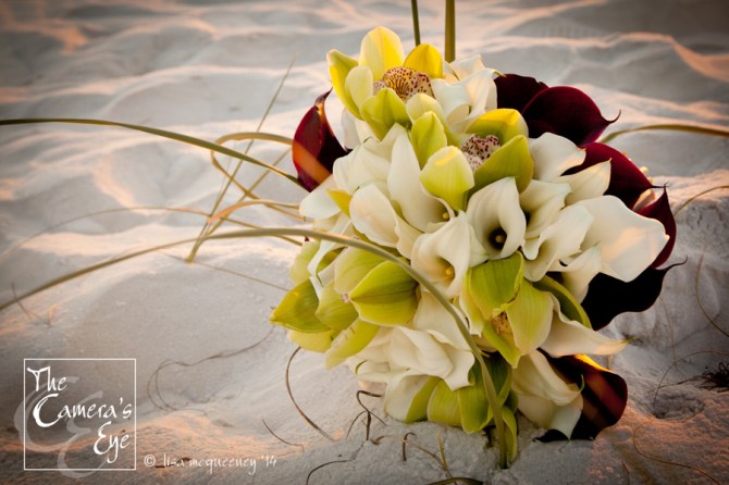 Weddings, The Camera's Eye 015