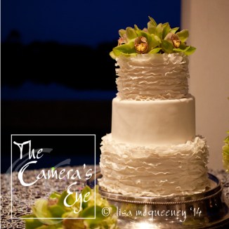 Weddings, The Camera's Eye 020