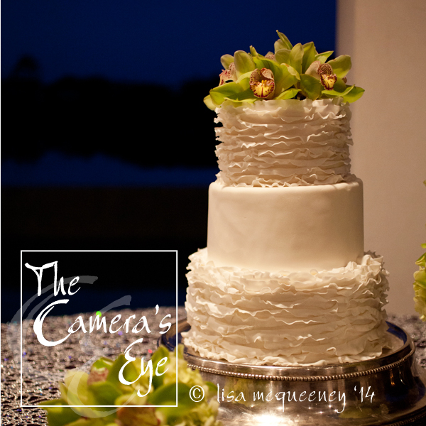 Weddings, The Camera's Eye 020