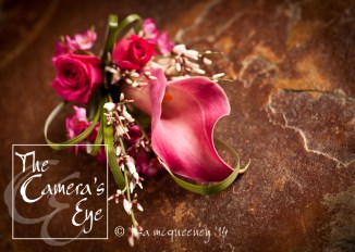 The Camera's Eye, Flowers 00