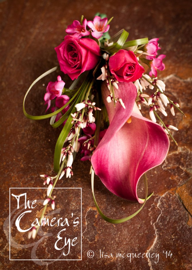 The Camera's Eye, Flowers 1