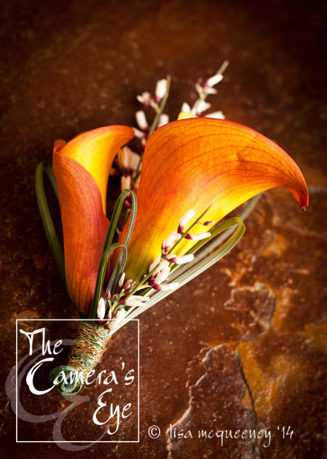 The Camera's Eye, Flowers 2