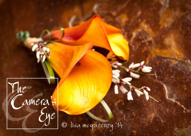 The Camera's Eye, Flowers 3