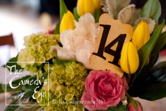 The Cameras Eye, TG001