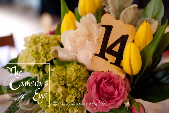 The Cameras Eye, TG001