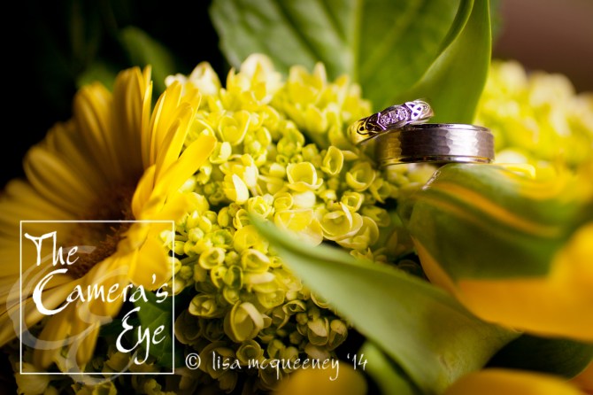 The Cameras Eye, TG003