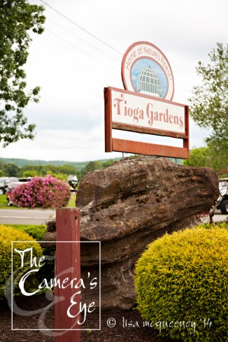 Tioga Gardens in Owego, NY