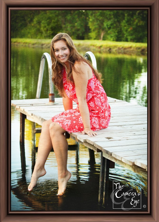 The Cameras Eye, Framed Canvas4