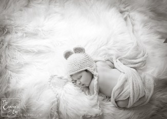 TheCamera'sEye, Babies3