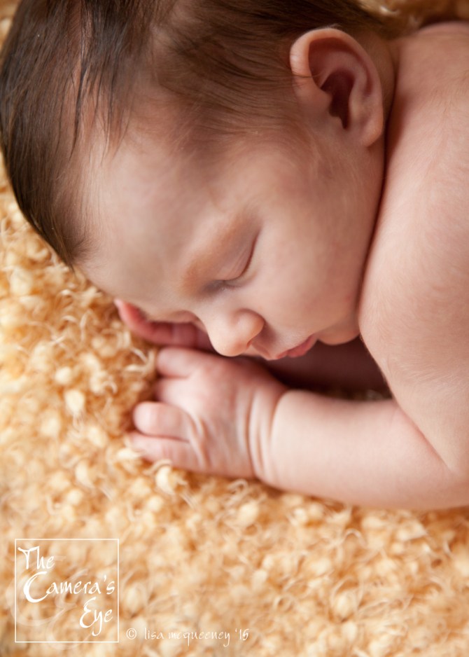 The Camera's Eye, Newborns1