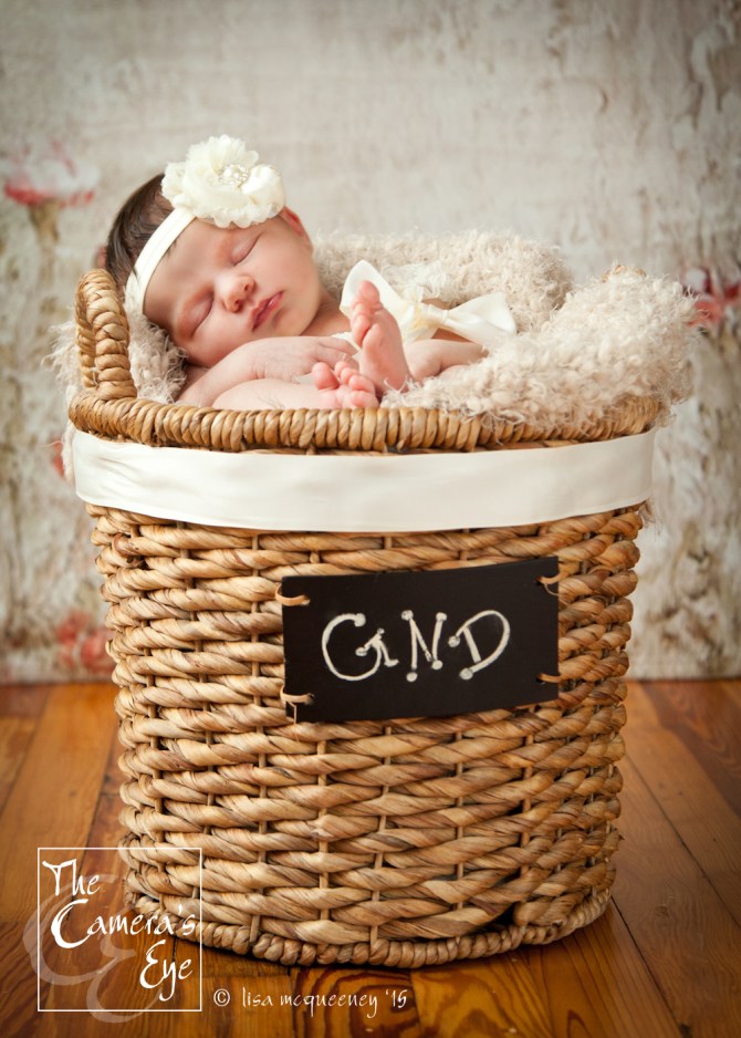 The Camera's Eye, Newborns4