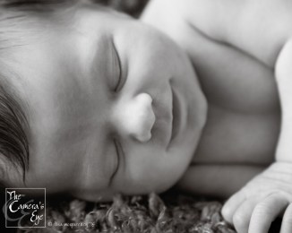 The Camera's Eye, Newborns5