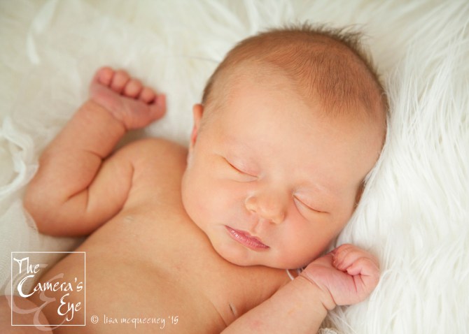 The Camera's Eye, Newborn Photography2