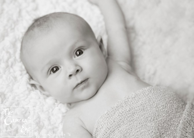 The Camera's Eye, Newborn005