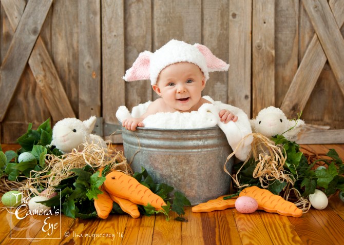 The Camera's Eye, Easter