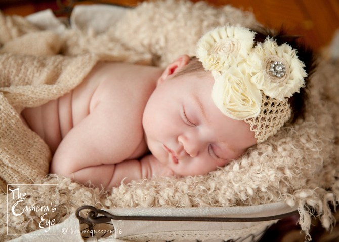 The Camera's Eye 6jpg