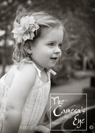 Family Portraits, The Camera's Eye 2