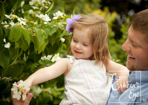 Family Portraits, The Camera's Eye 6