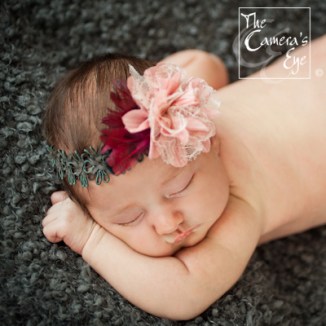 Newborn Photography, The Camera's Eye2