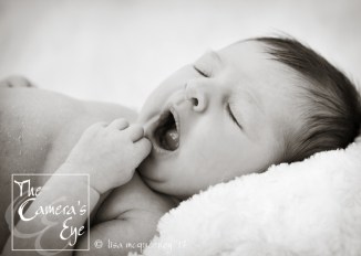 Newborn Photography, The Camera's Eye6