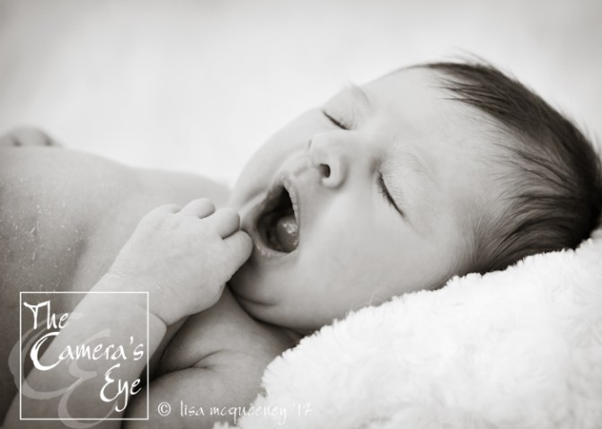 Newborn Photography, The Camera's Eye6