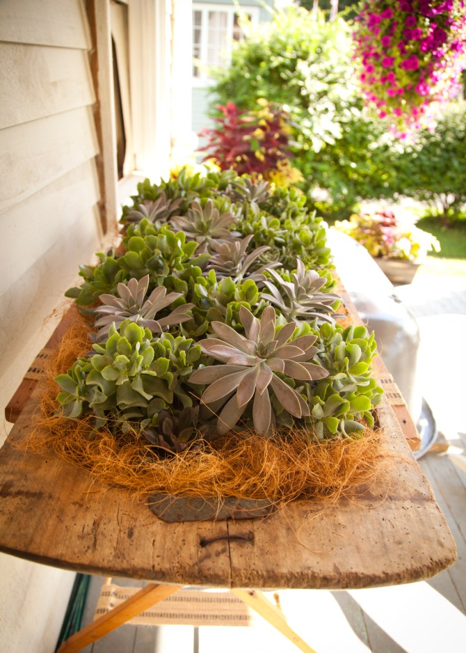 Belva Lockwood Inn by The Camera's Eye, Owego NY