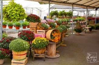 FBM, The Camera's Eye, Owego, Apalachin, NY003