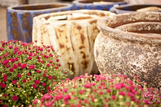 FBM, The Camera's Eye, Owego, Apalachin, NY009