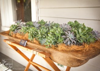 #myflextbex, #belikebelva, #belvalockwoodinn, #owego, NY, #IloveNewYork, #TheCameraseye